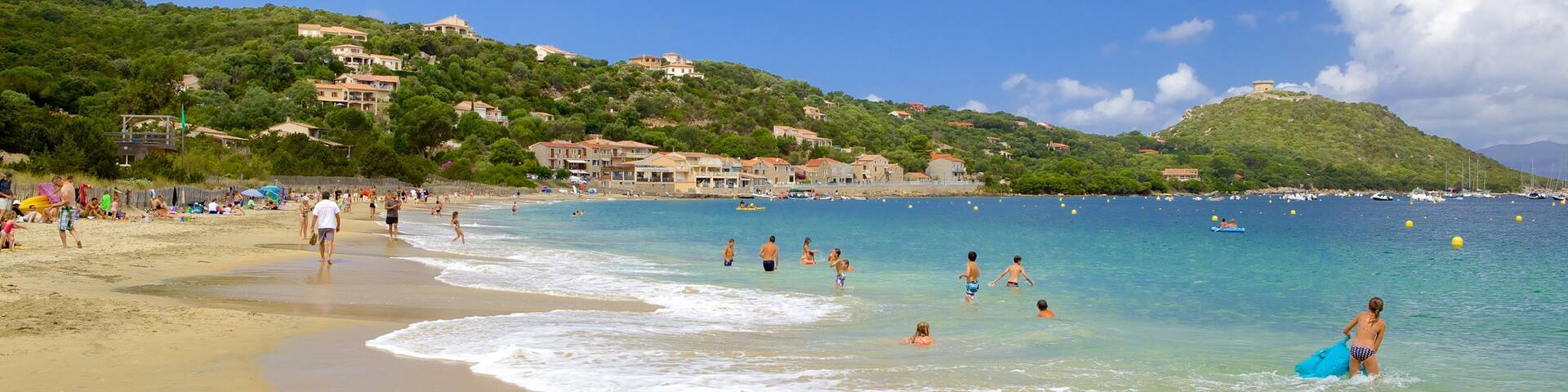 Belvédère-Campomoro das einen Sandstrand und Schwimmen