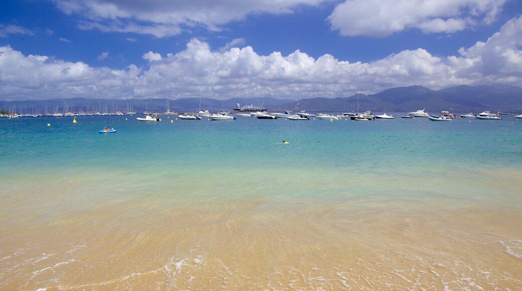 Belvedere-Campomoro showing a sandy beach and general coastal views