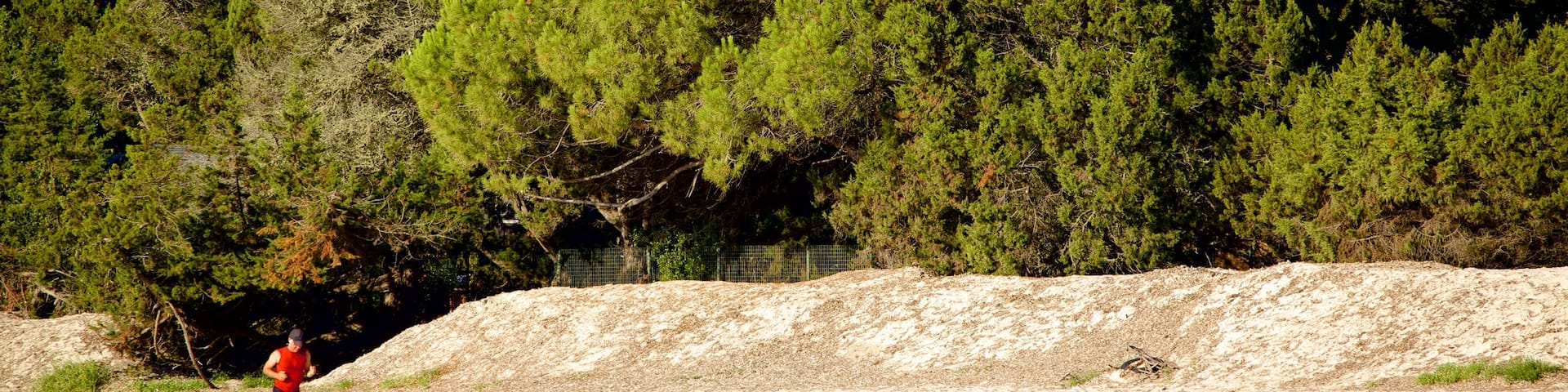 Plage de Santa Giulia qui includes plage