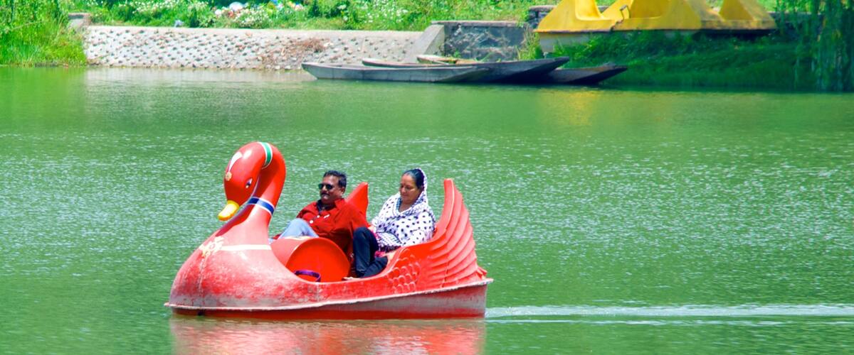 Botanical Garden as well as a couple