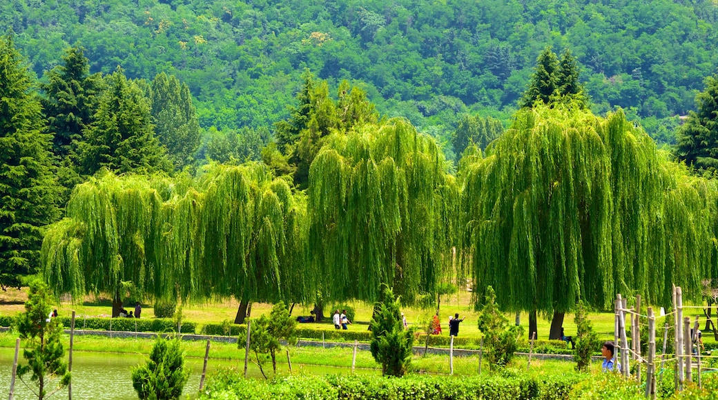 Jardín botánico que incluye un parque