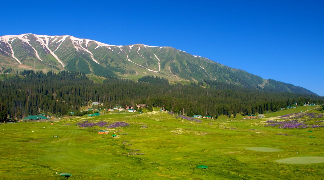 Gulmarg que inclui cenas tranquilas e paisagem