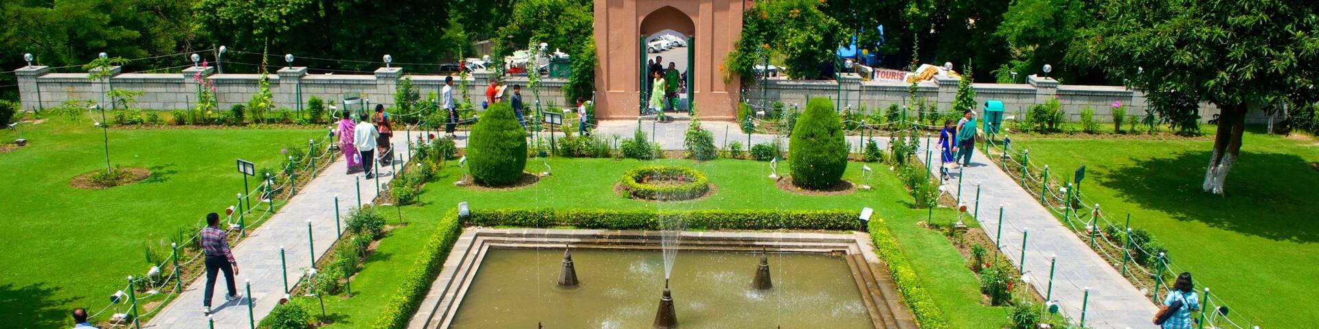 Chashma Shahi Garden which includes a garden and a fountain