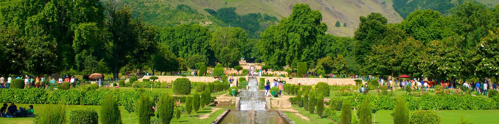Mughal Gardens featuring a garden and a fountain