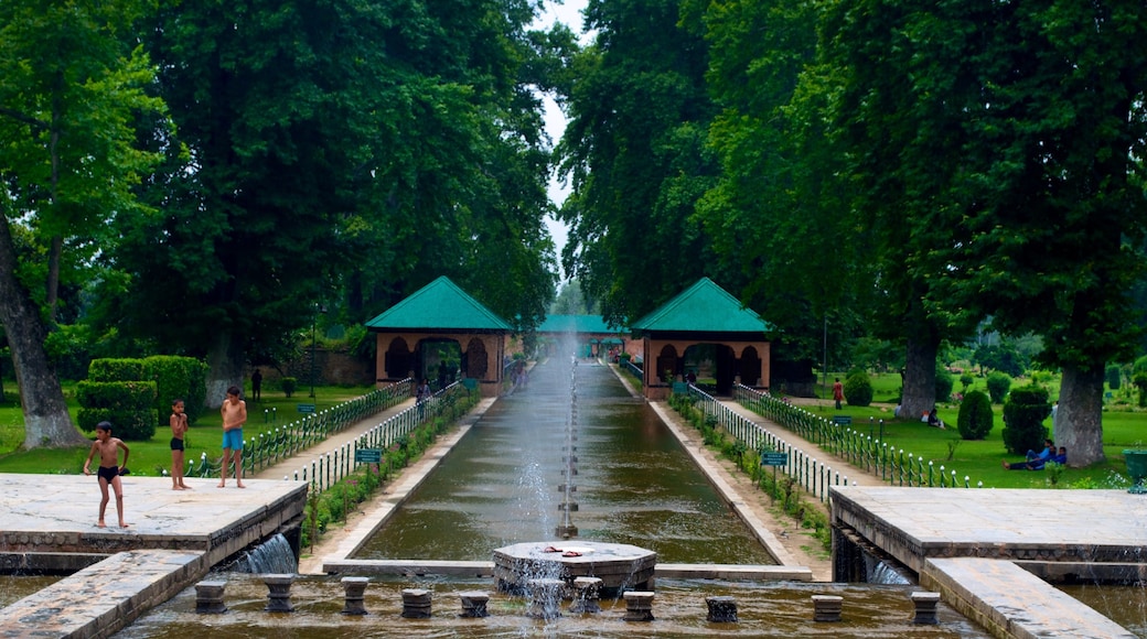 Shalimar Bagh, Srinagar, Indien og byder på et springvand