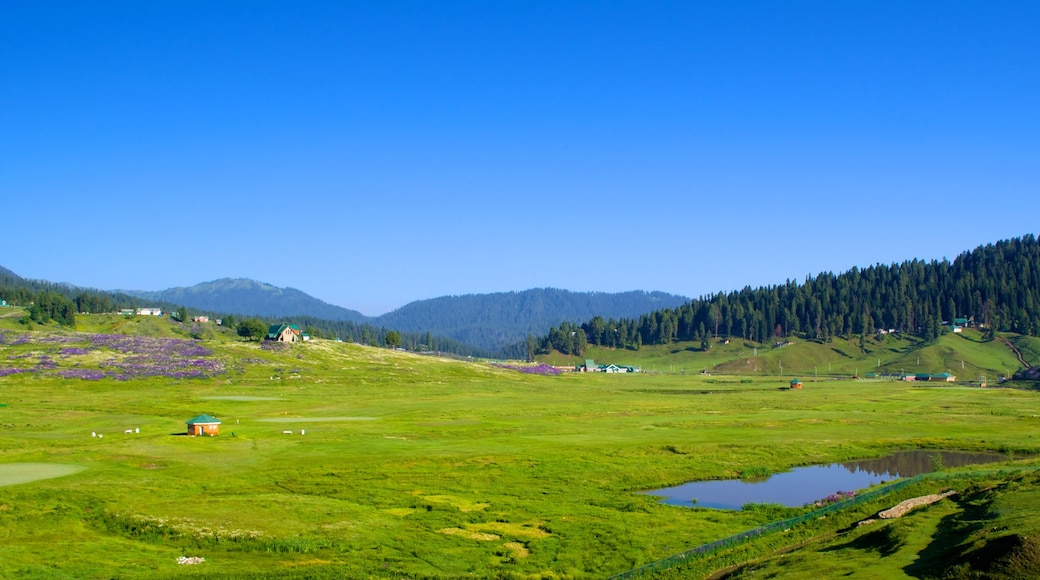 Gulmarg som visar landskap och stillsam natur