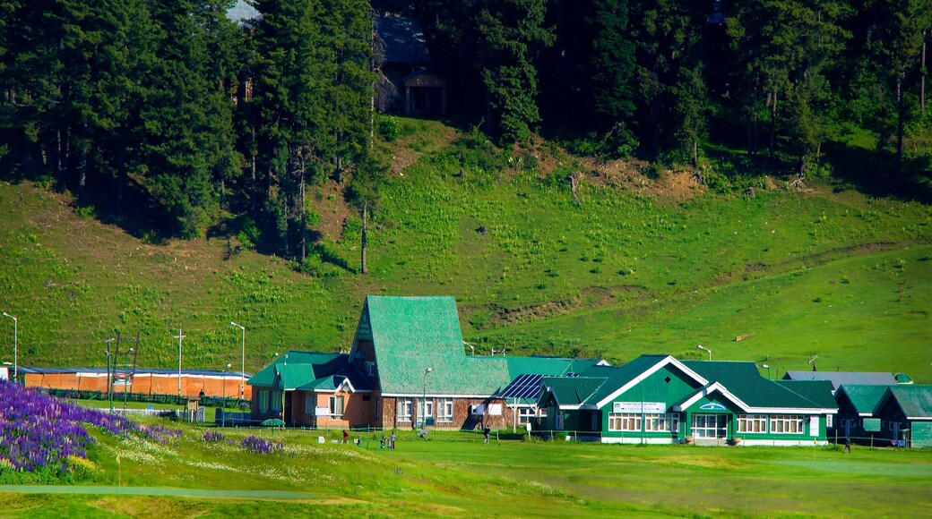 Gulmarg which includes a small town or village