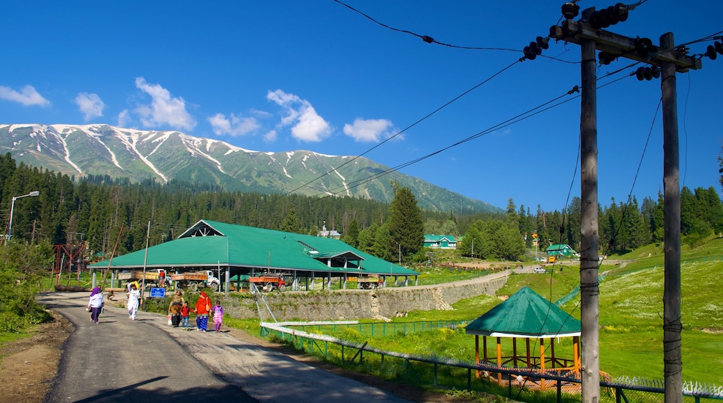 Gulmarg showing street scenes