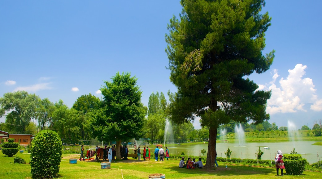 Jardín botánico ofreciendo un parque