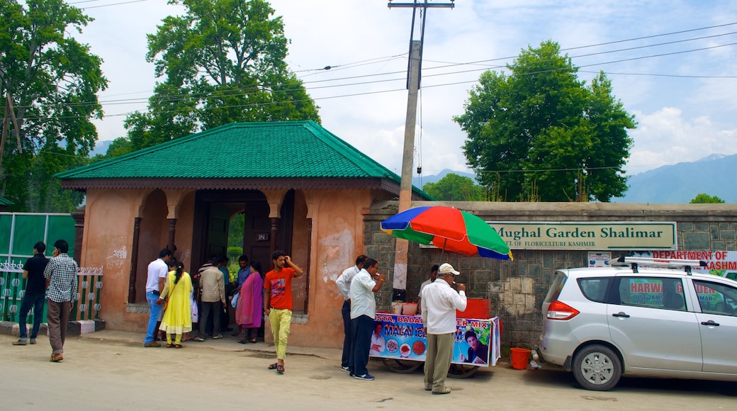 Shalimar Bagh showing street scenes