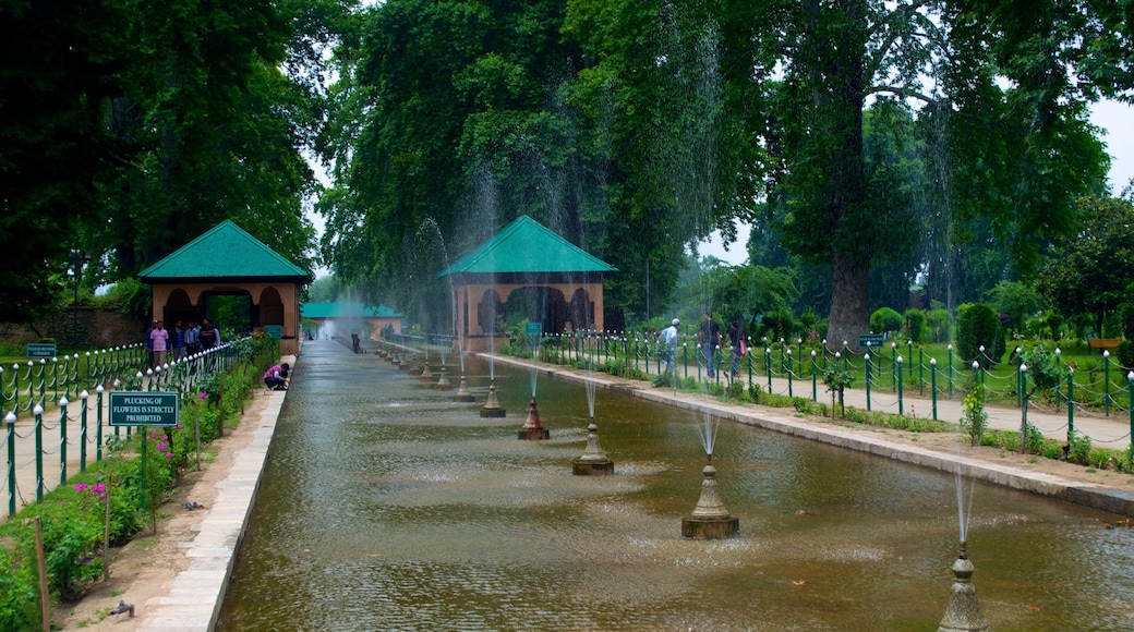 Shalimar Bagh showing a fountain
