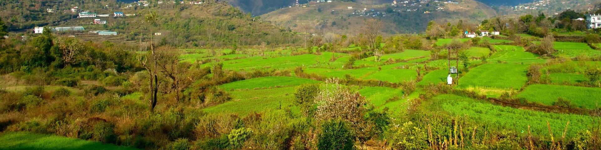 Hari Parbat Fort featuring heritage architecture