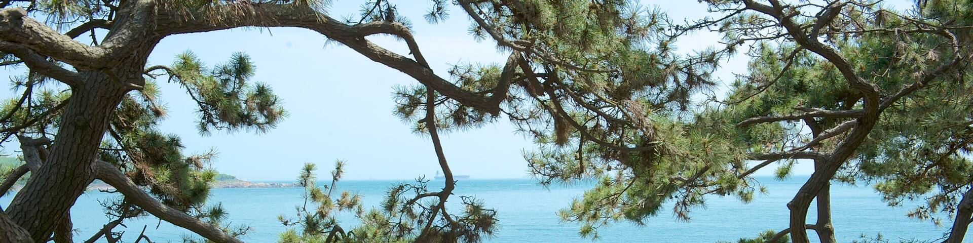 Lu Xun Park featuring general coastal views