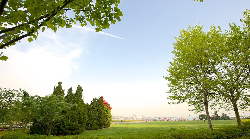 May Fourth Square featuring a park