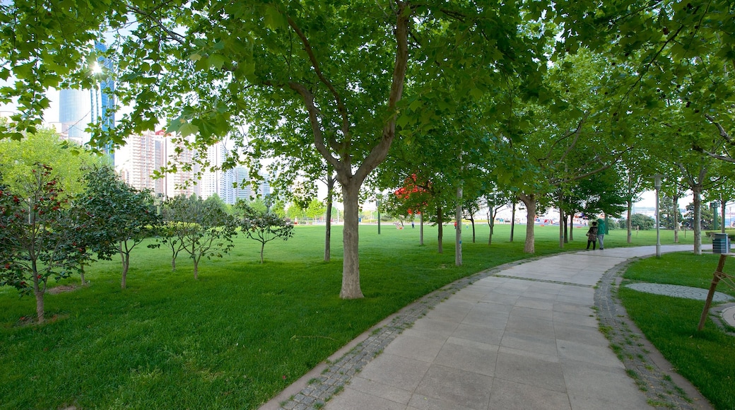 May Fourth Square showing a garden