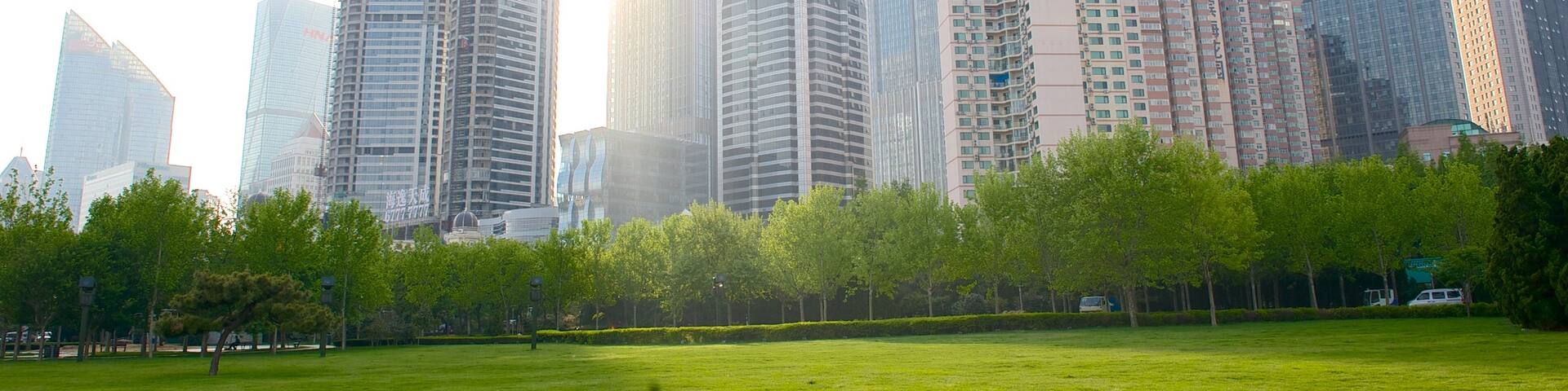 May Fourth Square featuring a garden and a city
