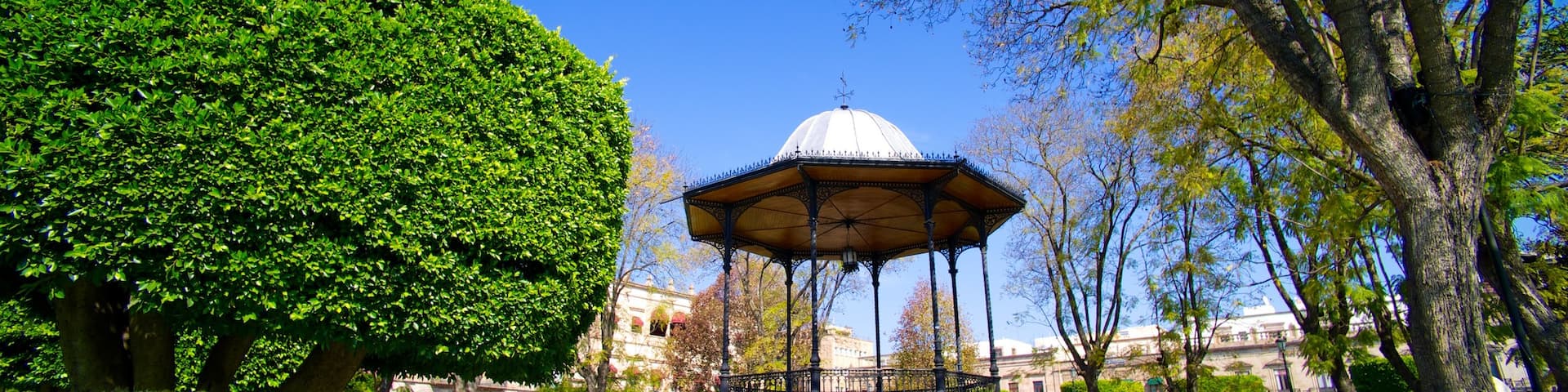 Plaza de Armas featuring a park