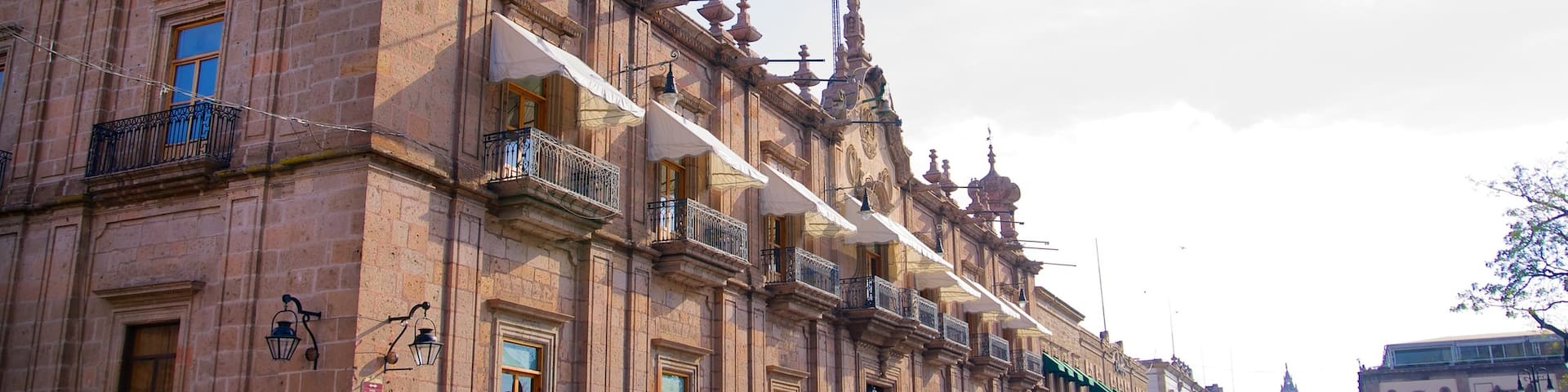 Federal Palace featuring street scenes, an administrative buidling and heritage architecture