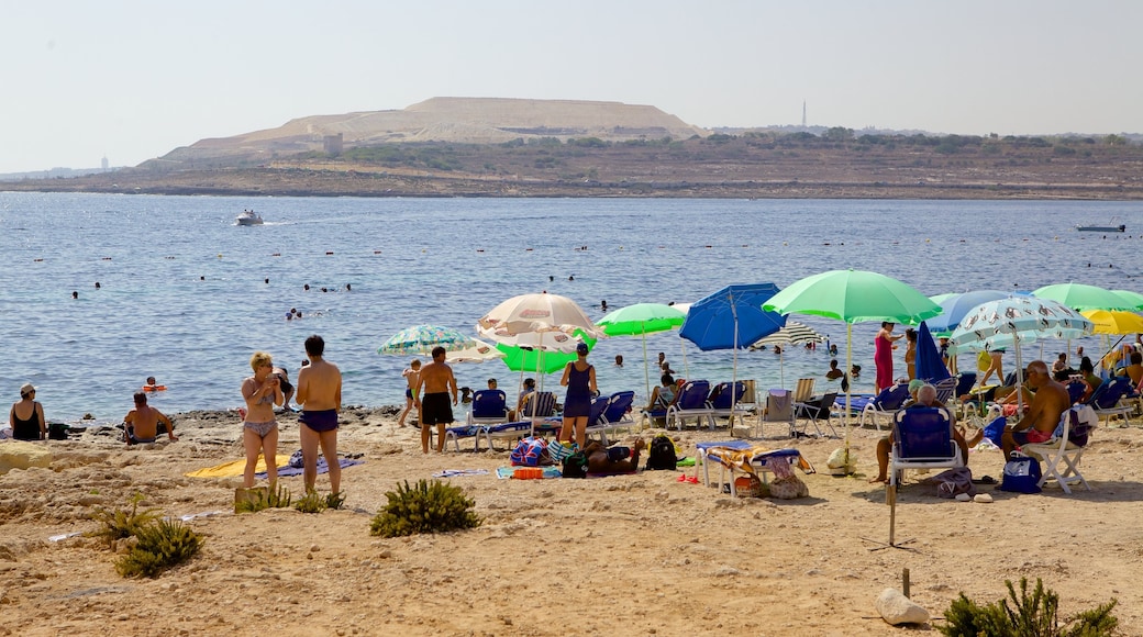 Qawra featuring a sandy beach as well as a large group of people