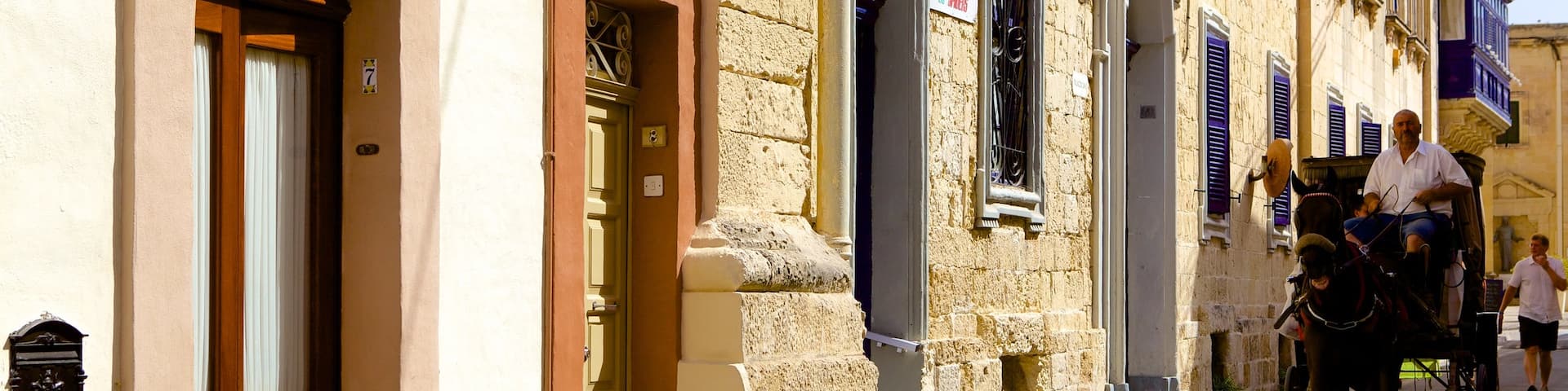 Rabat showing land animals, heritage architecture and a house
