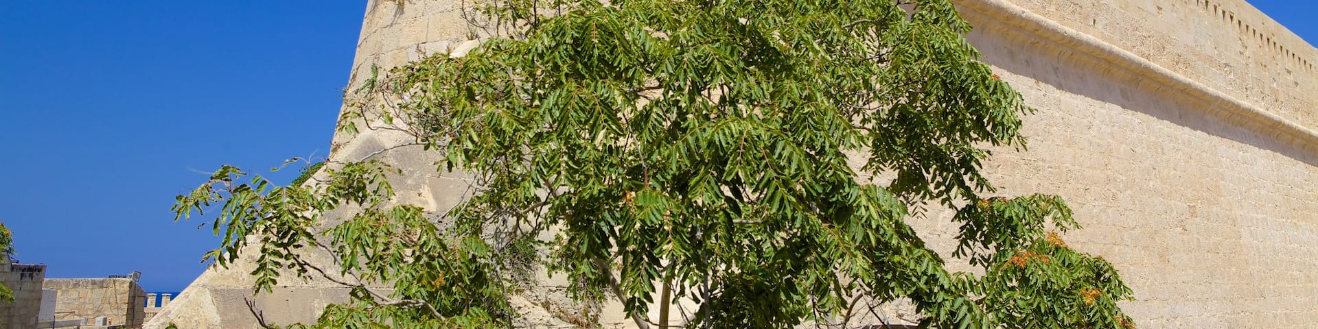 Fort St. Elmo showing heritage architecture