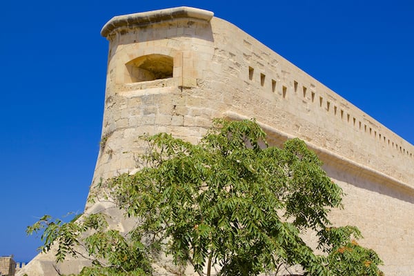 Fort Saint-Elme qui includes patrimoine architectural