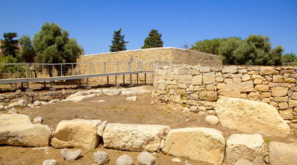 Tarxien Temples mostrando rovine