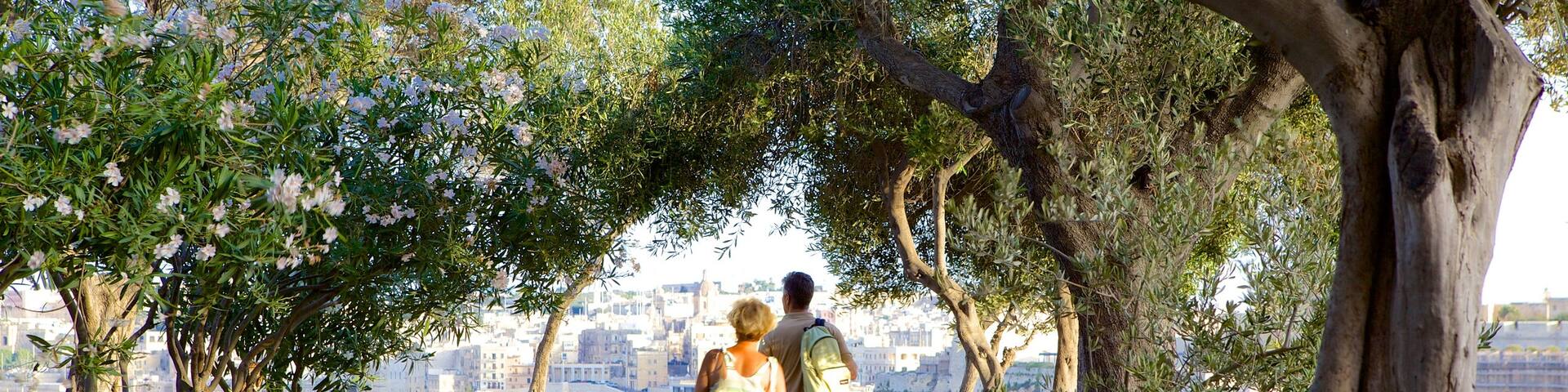 Lower Barrakka Gardens featuring a park