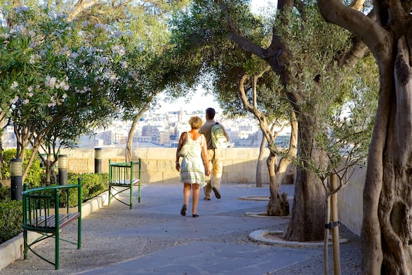 Lower Barrakka Gardens das einen Garten