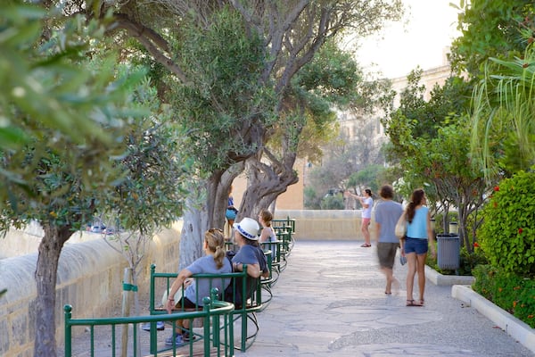 Lower Barrakka Gardens showing a garden