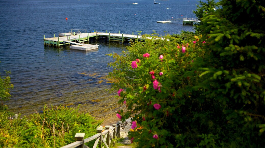 Chester which includes flowers, general coastal views and a bay or harbor