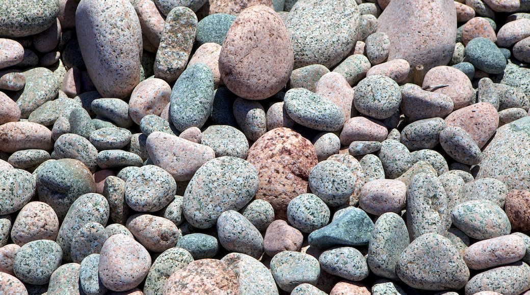 Ingonish Beach showing a pebble beach