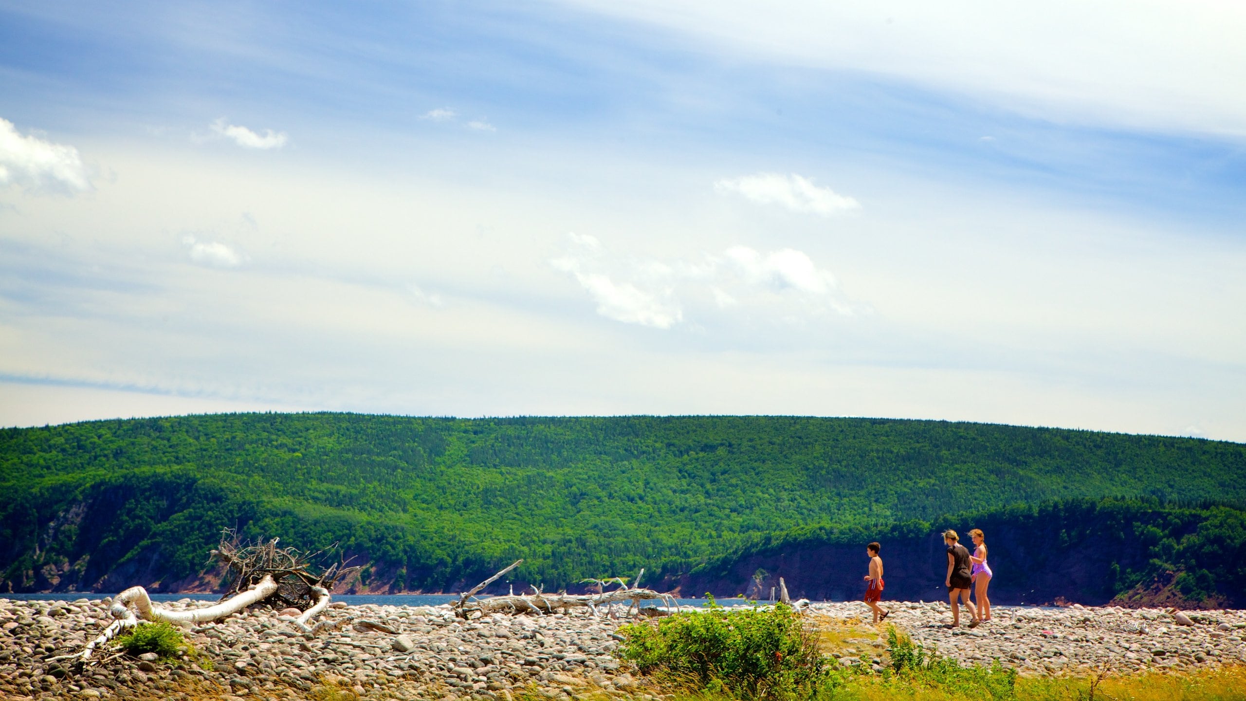 Ingonish Beach, NS, CA Vacation Rentals cottage rentals & more Vrbo