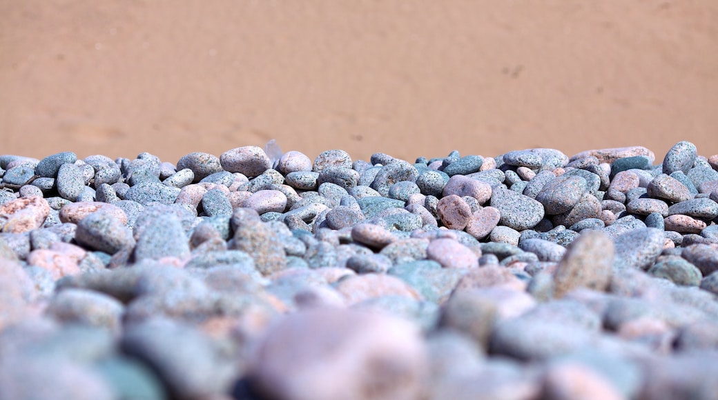 Ingonish Beach showing a pebble beach