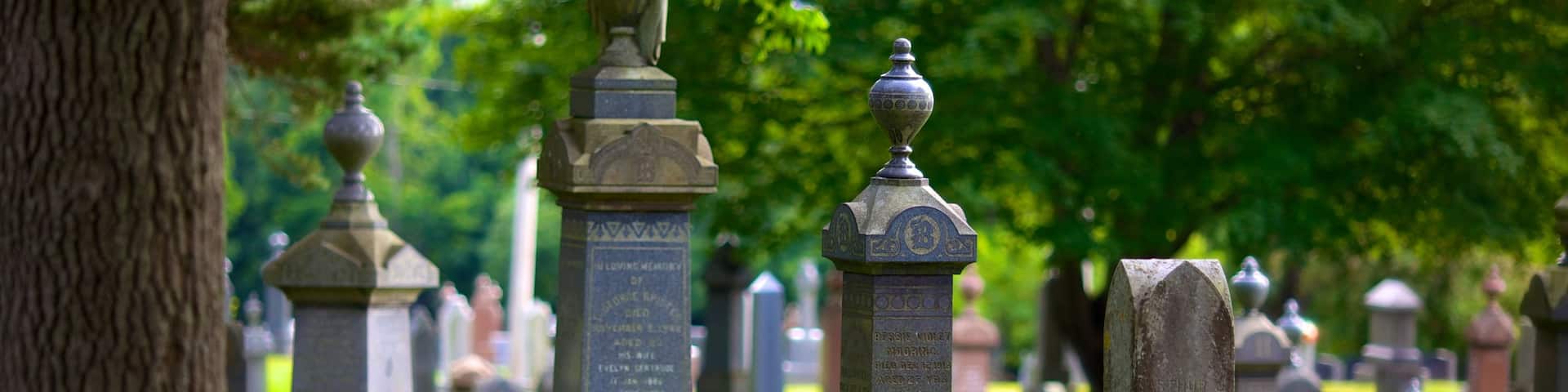 Fairview Cemetery showing a cemetery and a memorial
