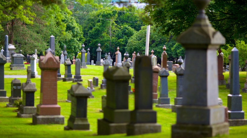 Cementerio de Fairview mostrando un cementerio y un monumento