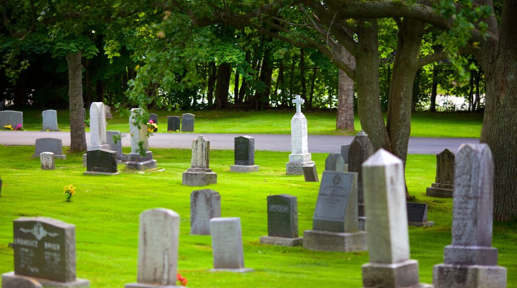 Fairview Cemetery showing a cemetery and a memorial