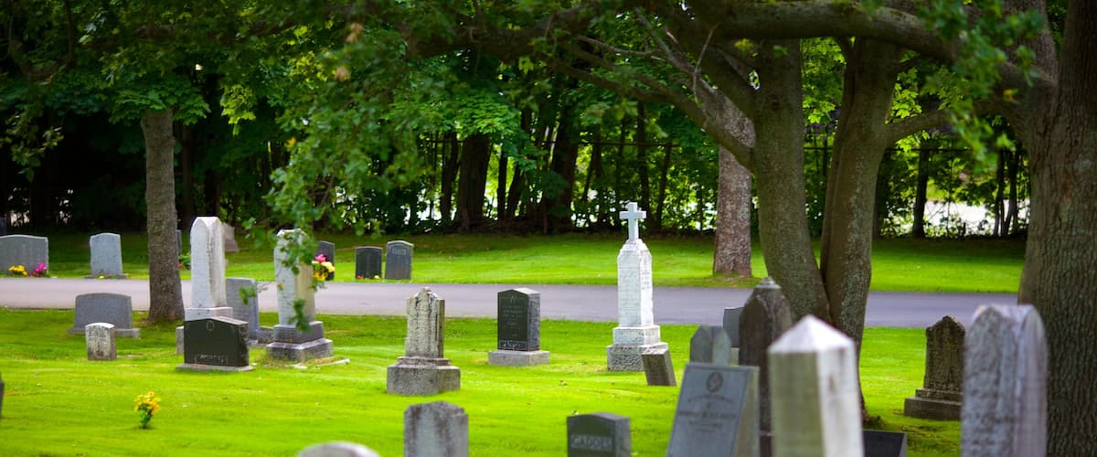 Fairview Cemetery featuring a cemetery and a memorial