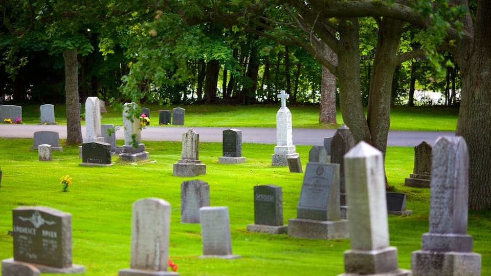 Cementerio de Fairview que incluye un monumento conmemorativo y un cementerio