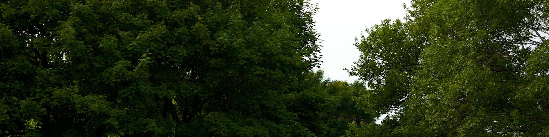 Fairview Lawn Cemetery featuring a cemetery and a memorial