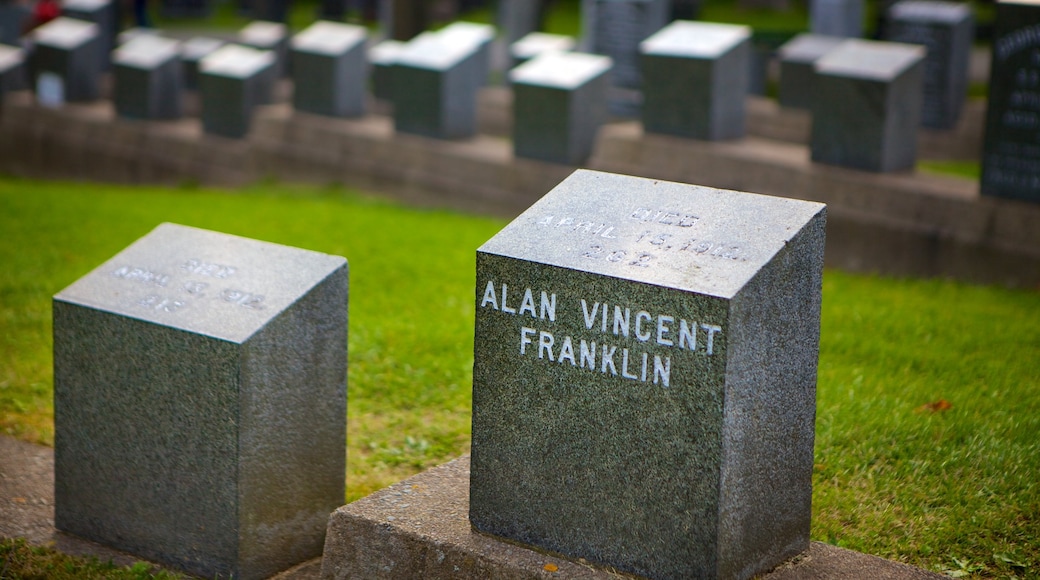 Fairview Cemetery showing a memorial and a cemetery