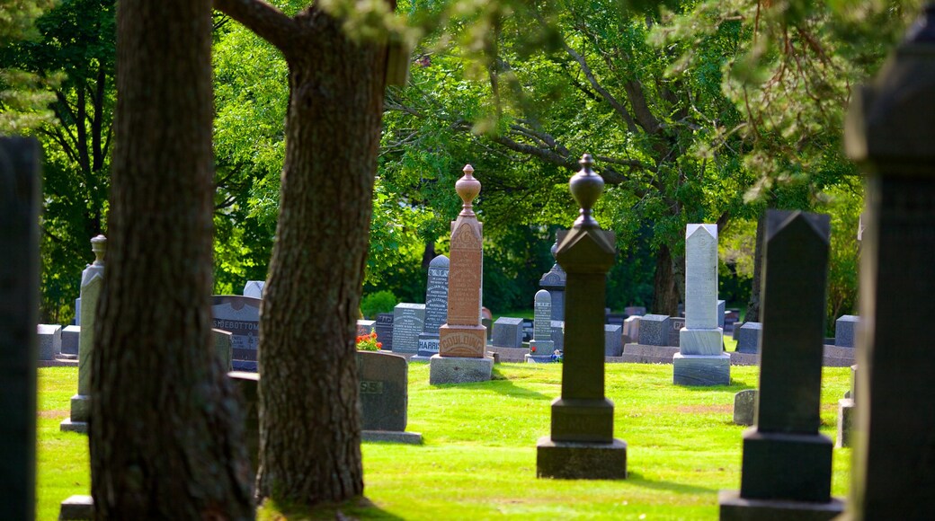 Cementerio de Fairview que incluye un monumento y un cementerio