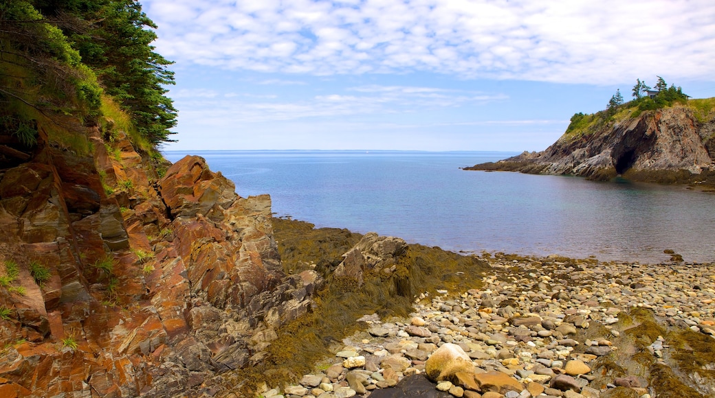 Smuggler\'s Cove montrant rochers au bord de la mer et une plage de galets