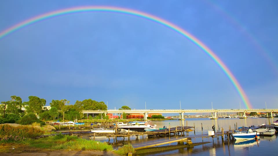 Olbia caratteristiche di ponte