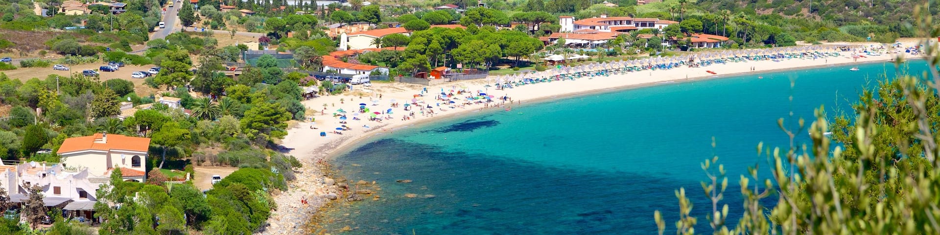 Campus Beach showing a beach