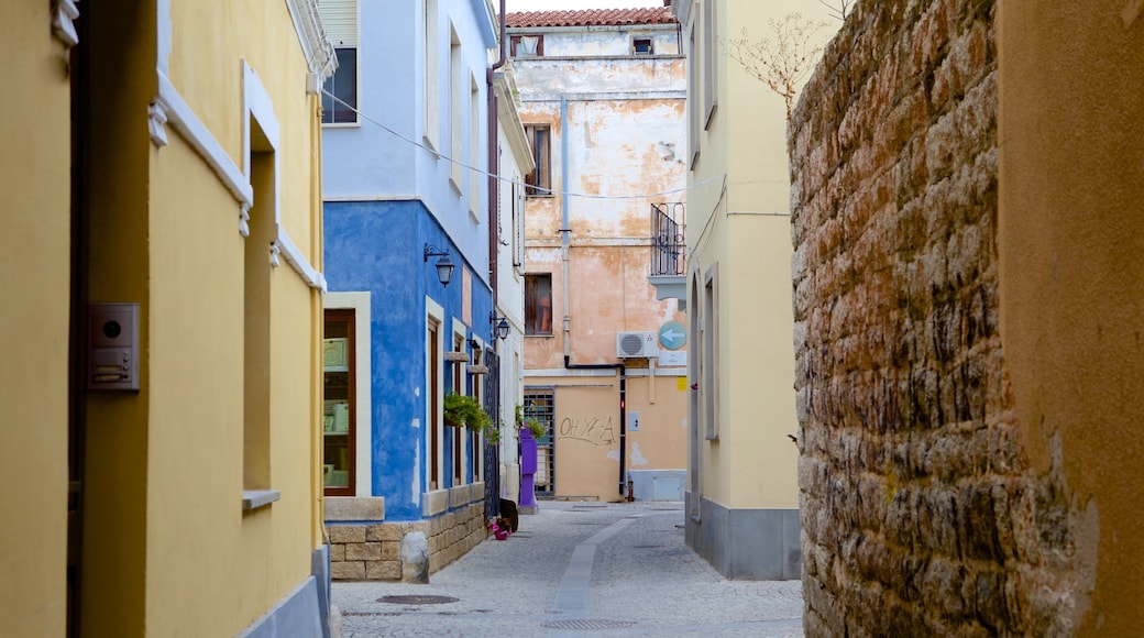 Olbia featuring street scenes