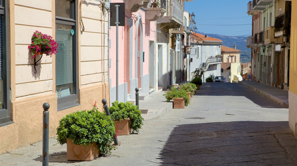 Arzachena which includes street scenes