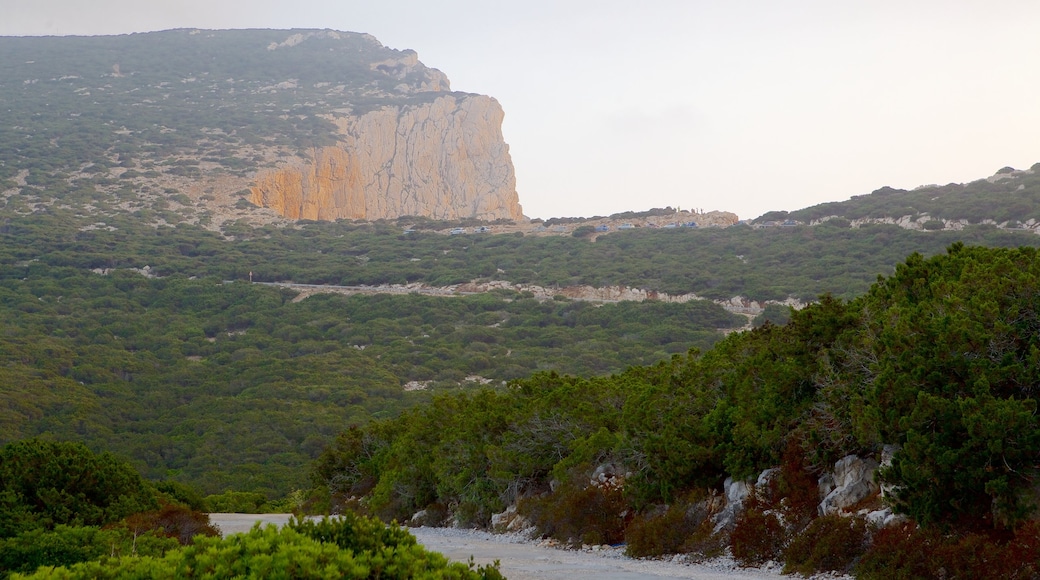 Capo Caccia welches beinhaltet Landschaften