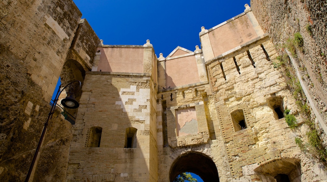 National Archaeological Museum showing heritage architecture