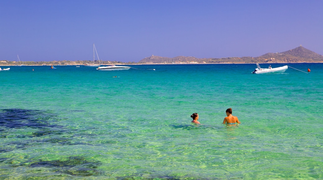 Strand von Campus das einen Schwimmen